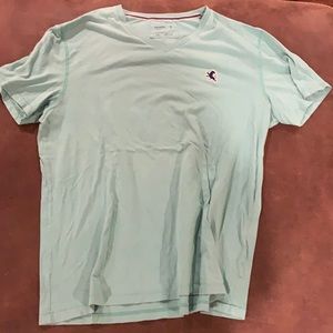 Express v-neck tee